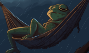 Image 1200x900 2 2 1000x600.png