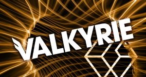Valkyrie grayscale.jpg