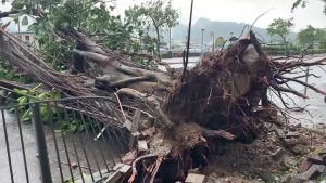 2023 09 02t013943z 1 lop875502092023rp1 rtrmadp baseimage 960x540 asia weather saola hongkong morning.jpg