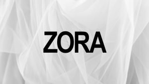 Zora token airdrop guide.jpg