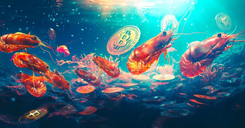 Bitcoin shrimps.jpg