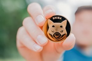 Istock 1327123774 1.jpg