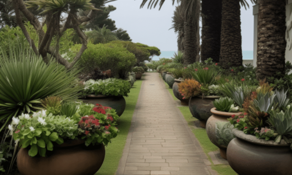 Image 1200x900 24 1000x600.png