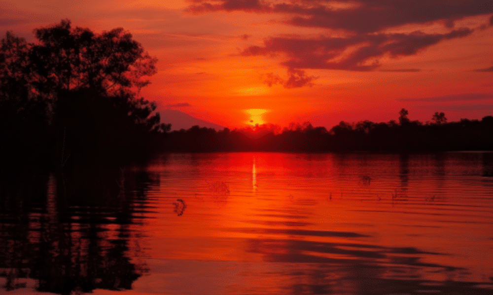 Image 1200x900 40 1000x600.png