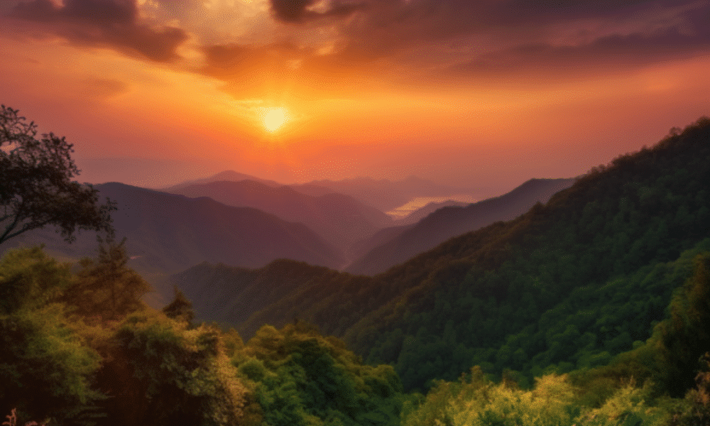 Image 1200x900 67 1000x600.png