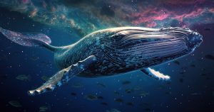 Whale .jpg