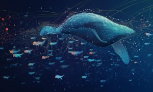 Whales 1000x600.jpg