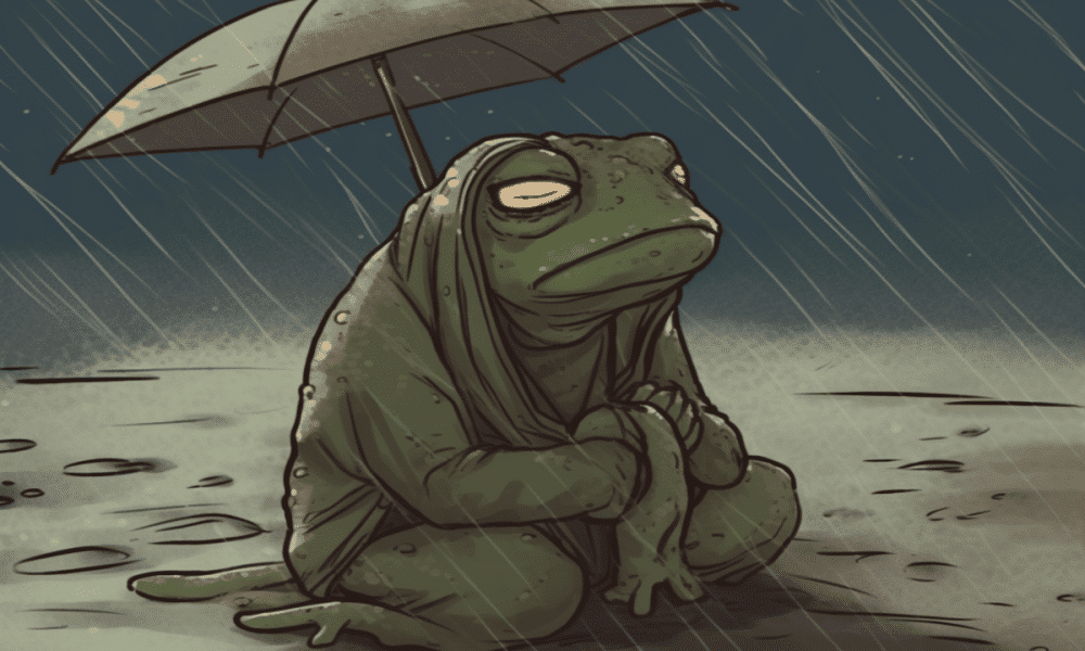 Capture 17 1000x600.png