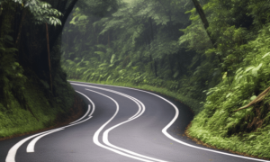 Image 1200x900 98 1000x600.png