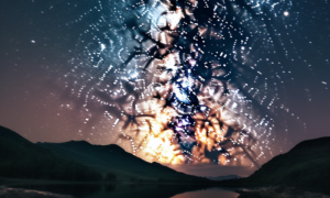 Image 1200x900 99 1000x600.png