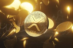 Xrp Ledger Ripple Amms.jpeg