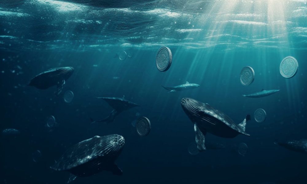 Xrp Whales 2 1 1000x600.jpg