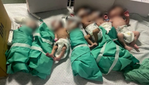 Bebes Incubadoras Gaza 1.png