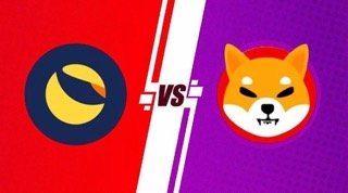 Shiba Inu Vs Lunc Small.jpeg
