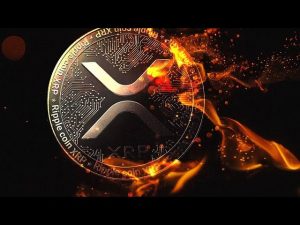 Xrp Price 5.jpeg