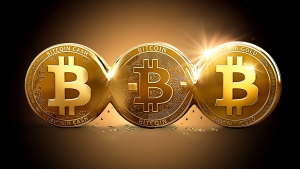The Year Of Bitcoin.png