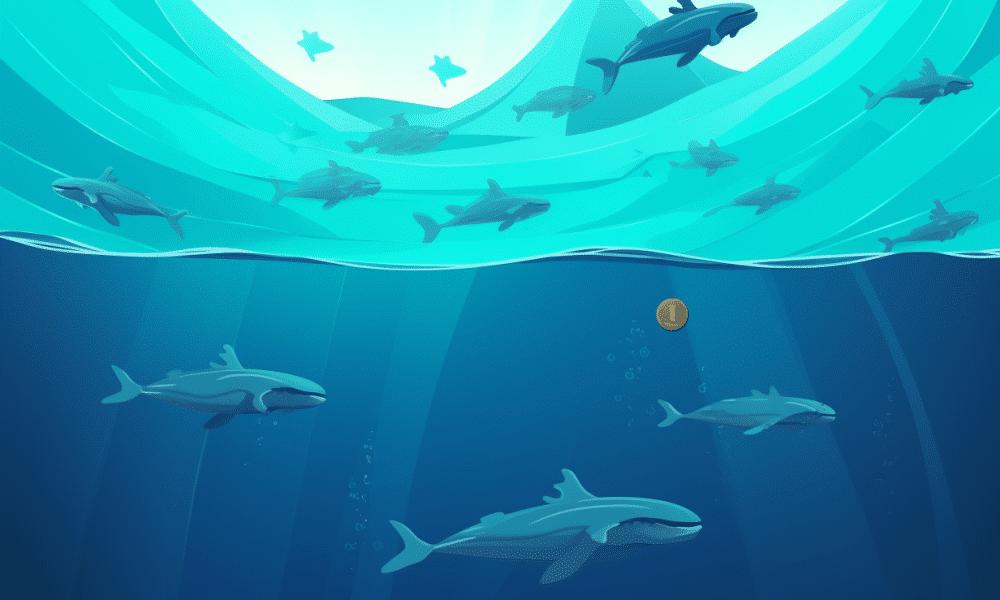 Ambcrypto Whales Swimming Around Ethereum Logo In The Backgroun 33310052 D281 4b72 898f 70065b7c708f 1000x600.png
