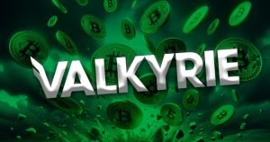 Valkyrie Funds.jpg