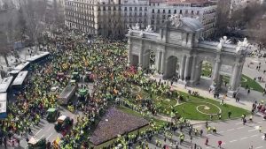 2024 02 21t124013z 1 Lop223521022024rp1 Rtrmadp Baseimage 960x540 Europe Farmers Spain Update.jpg