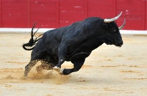 Istock 1369021012.jpg