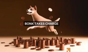 Bonk 1 1000x600.png
