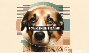 Bonk 1000x600.png