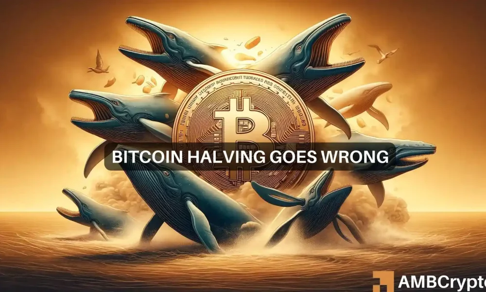 Bitcoin Plummets Under 64k 1000x600.webp.webp
