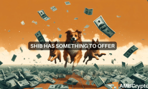 Shiba Inu 1 1000x600.png