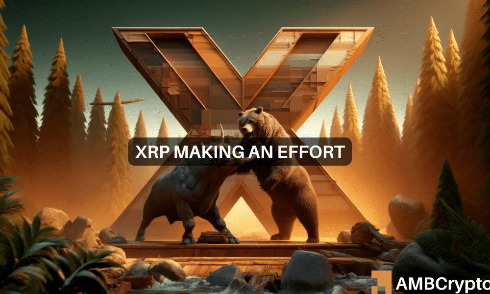 Xrp 1000x600.png