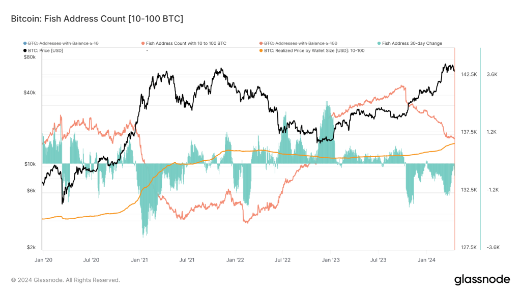 Glassnode Studio Bitcoin Fish Address Count 10 100 Btc 1.png