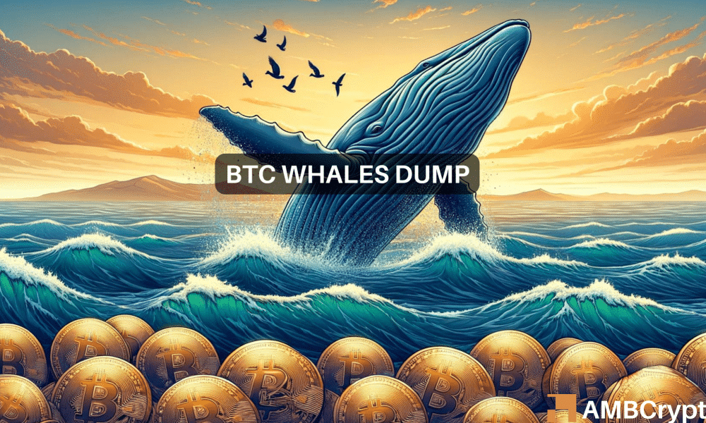 Bitcoin 7 1000x600.png