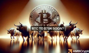 Bitcoin Might Touch 75k 1000x600.webp.webp