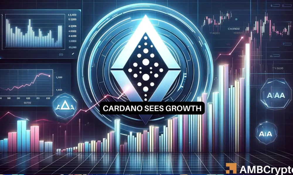 Cardano Dex 1000x600.webp.webp