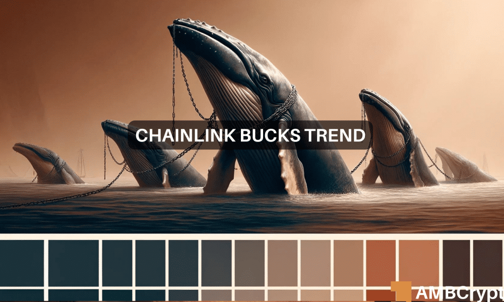 Chainlink 1000x600.png