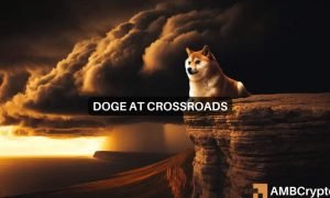 Doge Fi 1000x600.jpeg
