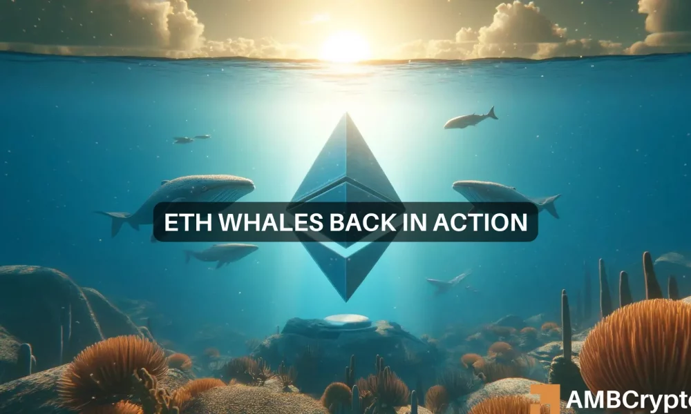 Ethereum Whales Are Accumulating 1000x600.webp.webp