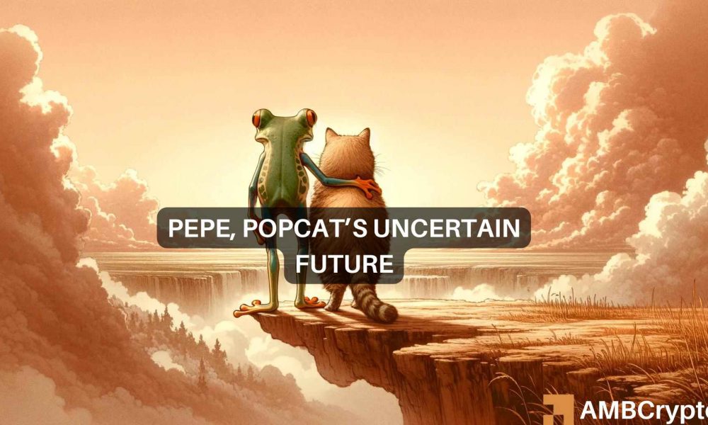 Jai Meme Fi Canva 1000x600.jpeg