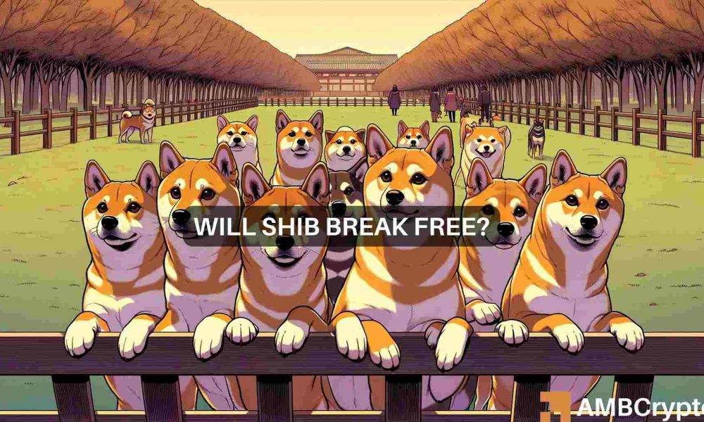Shib Price Prediction 1000x600.jpeg