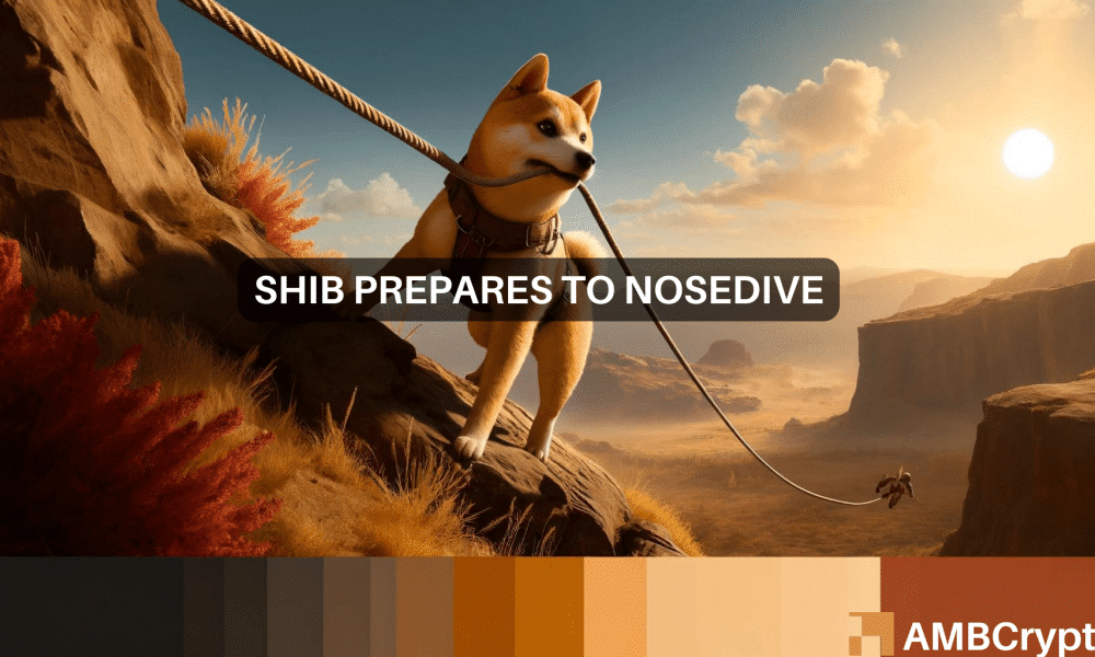 Shiba Inu 1 1000x600.png