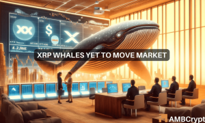 Xrp 1 1000x600.png