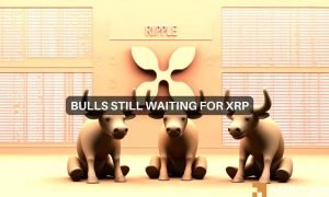 Jai Xrp Fi 1000x600.jpeg