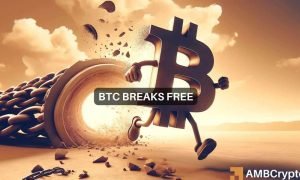 Sam Btc Fi 3 1000x600.jpeg