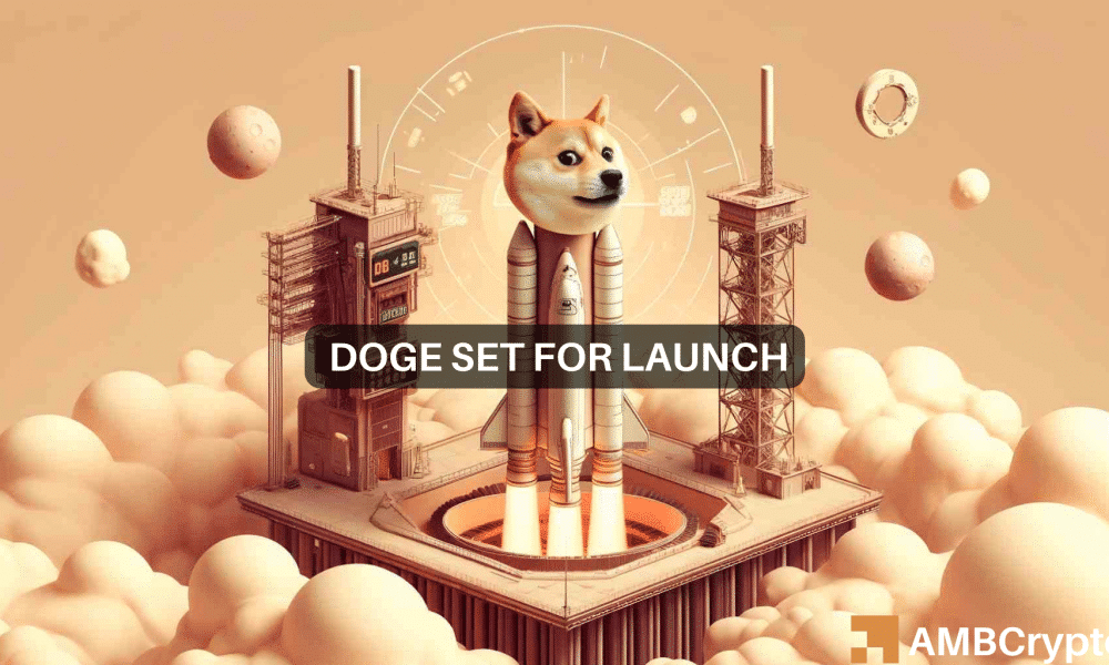 Sam Doge Fi 1000x600.png