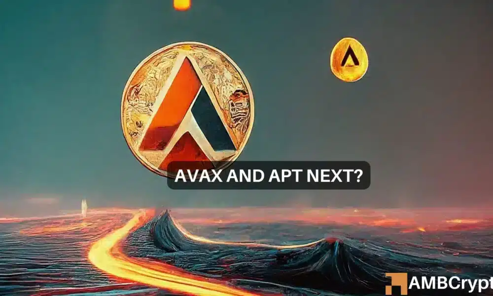 Avalanche Apt 1000x600.webp.webp