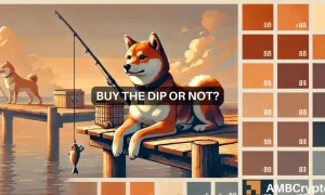 Bink 1 1000x600.webp.webp