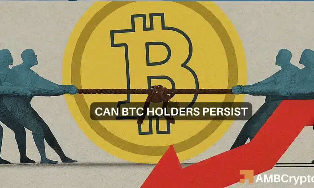 Bitcoin Holders 1000x600.webp.webp