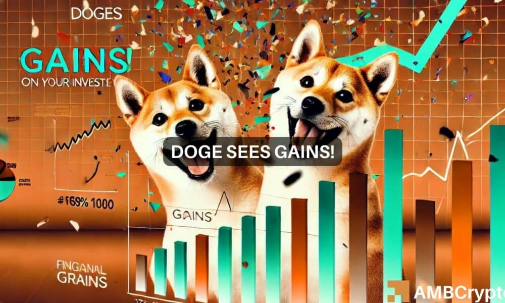 Doge Fi 1 1000x600.jpg
