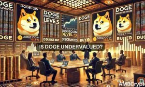 Doge Arthur Hayes 1000x600.jpeg