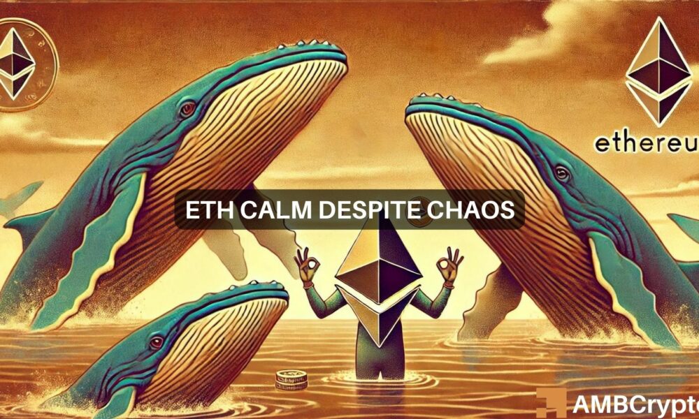 Eth Him 1000x600.jpg