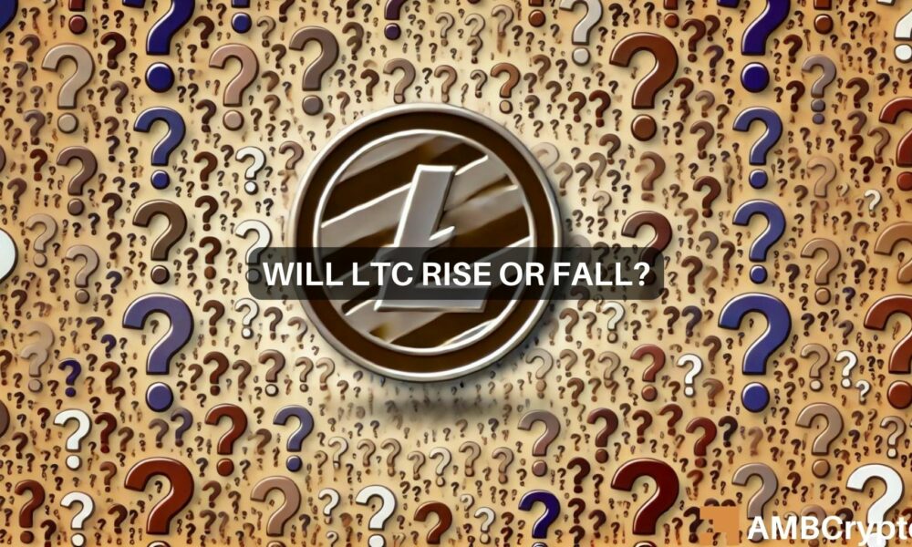 Ltc Fi 1000x600.jpg